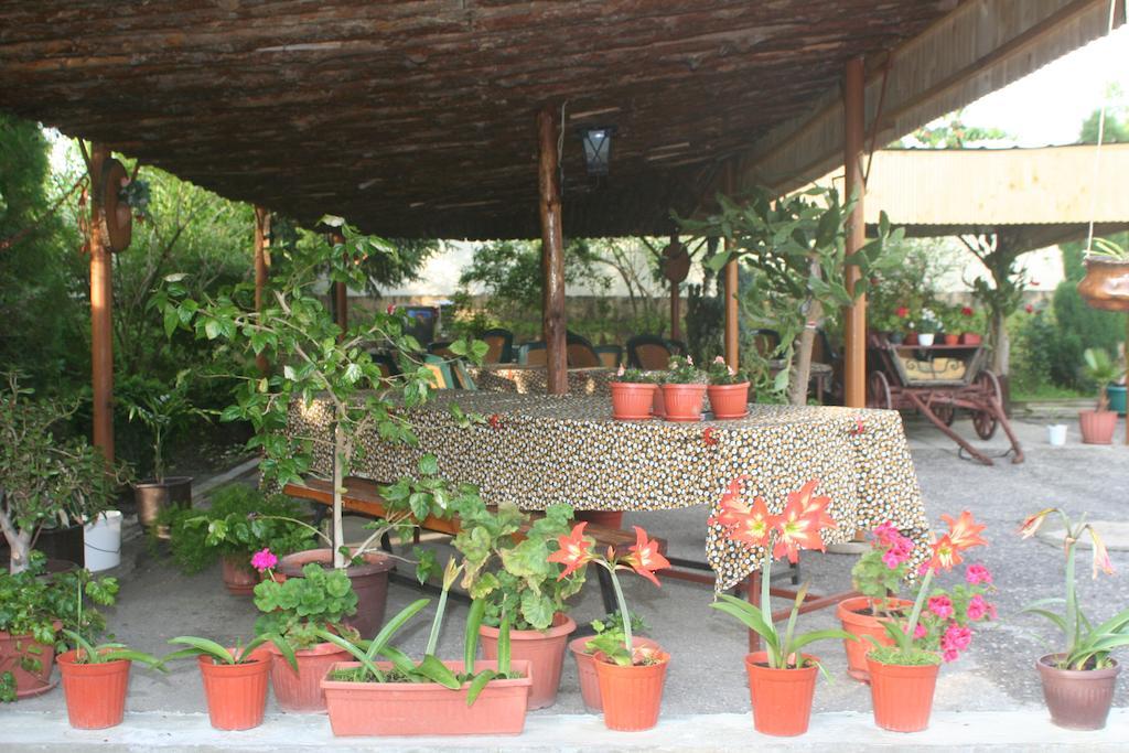 Dve Mogili Guest House Edelvais מראה חיצוני תמונה